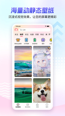 360小鸟壁纸app