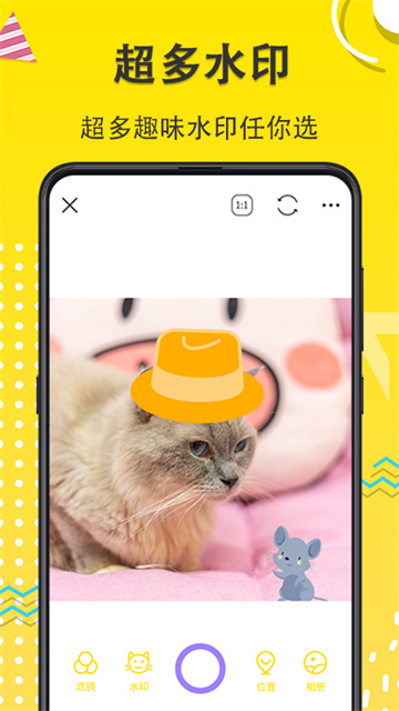 宠物相机app