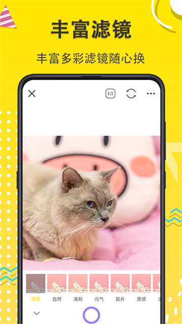 宠物相机app