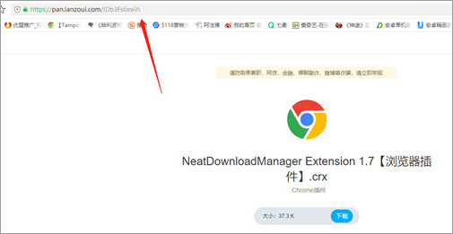 下载神器NDM(Neat Download Manager)