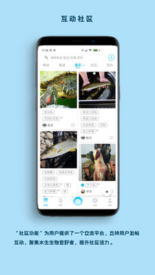 看鱼(拍照识别鱼)