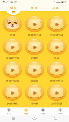 动物翻译器官方正版