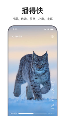 迅雷浏览器手机版