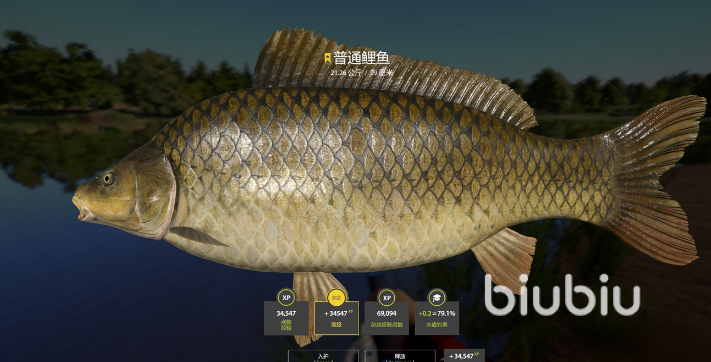 俄罗斯钓鱼4(Russian Fishing 4)