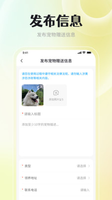 宠物领养互助平台