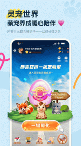 饭友APP
