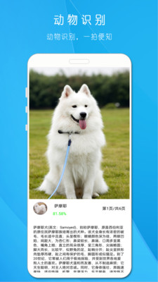 拍照识万物APP