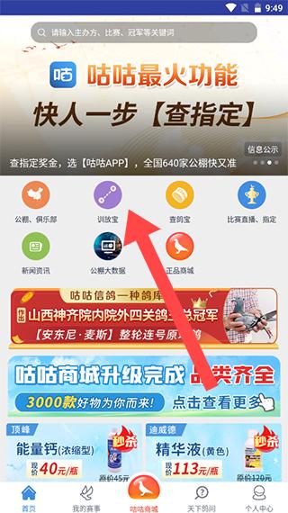 咕咕信鸽APP官方版