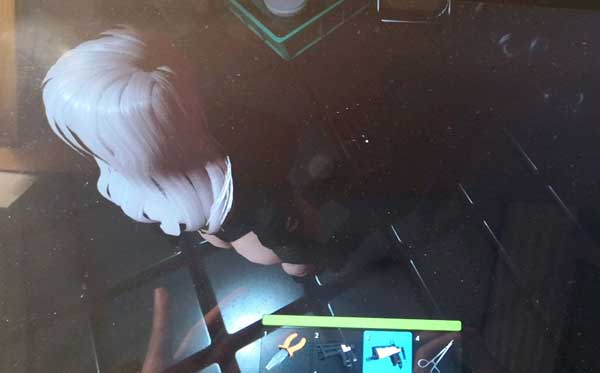 Haydee2破解版