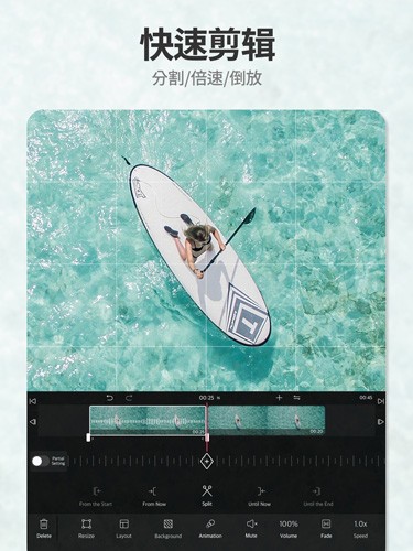 VLLO解锁VIP破解版
