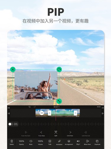 VLLO解锁VIP破解版
