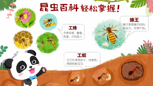 奇妙昆虫世界(Marvelous Insects)